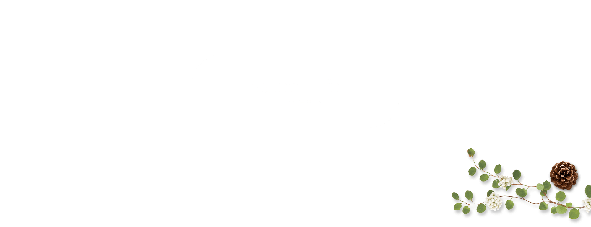 banner_salon